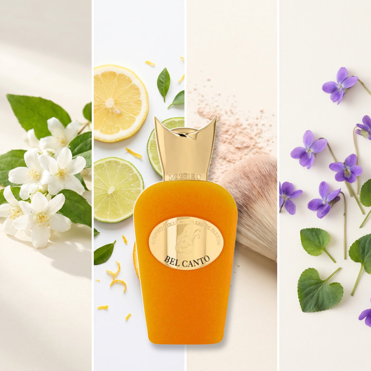 Sospiro Bel Canto fragrance notes: Jasmine, Citrus., Powdery, Violet