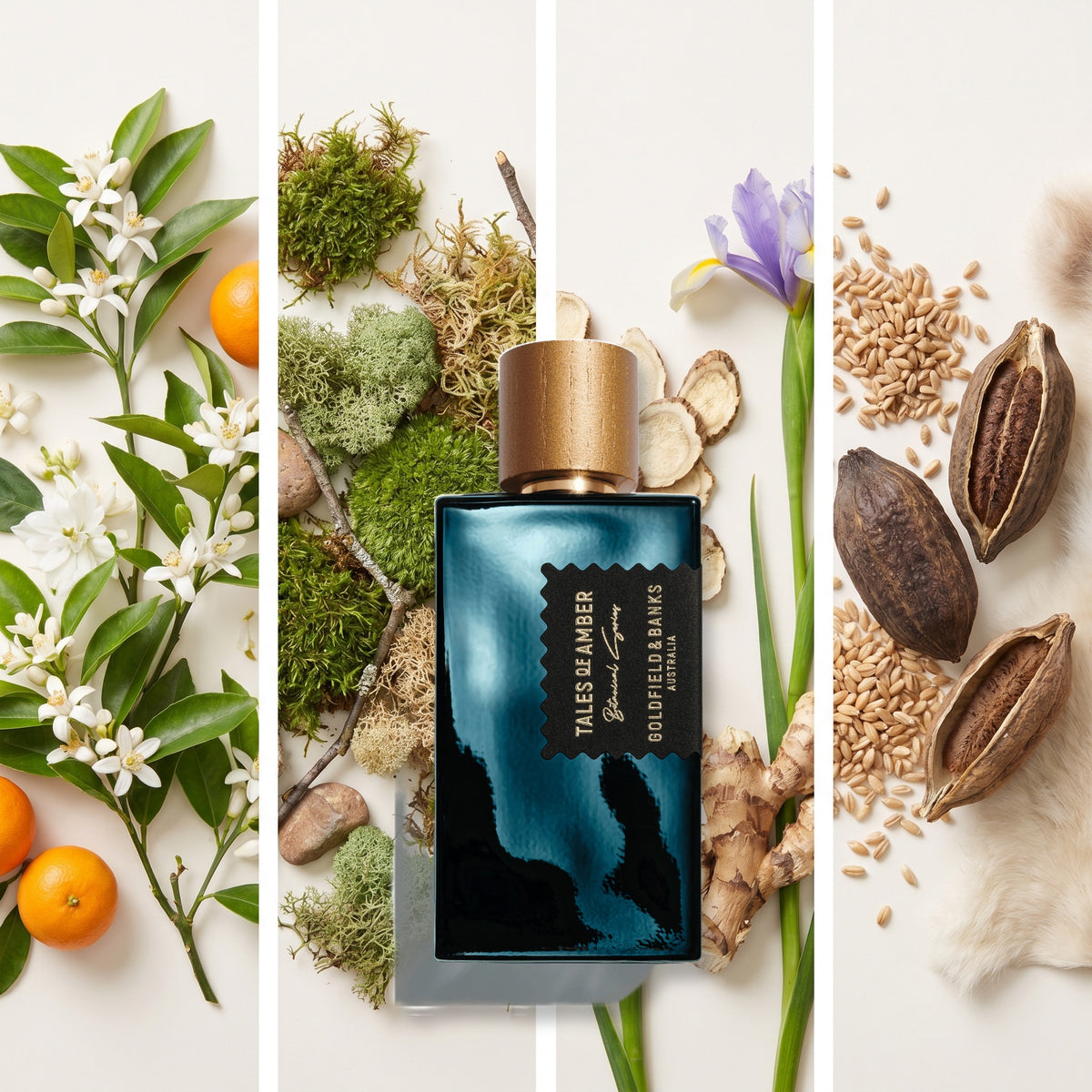 Goldfield & Banks Tales of Amber fragrance notes: Orange Blossom, Moss, Orris, Musk