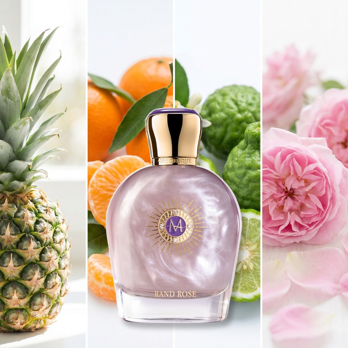 Moresque Parfums Rand Rose fragrance notes: Pineapple, Mandarin Orange, Bergamot, Damask Rose