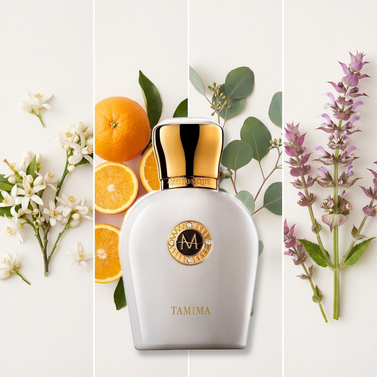 Moresque Parfums Tamima fragrance notes: neroli, orange from Sicily, eucalyptus, sclarea sage