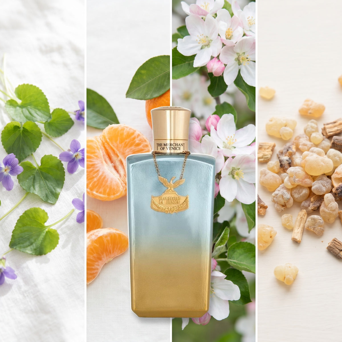 The Merchant of Venice La Fenice Pour Homme fragrance notes: Violet Leaf, Mandarin Orange, Apple Blossom, Olibanum.