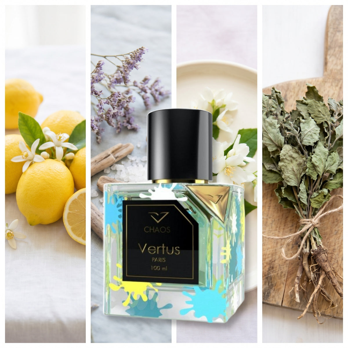 Vertus Chaos fragrance notes: Lemon, Marine Notes, Jasmine, Patchouli