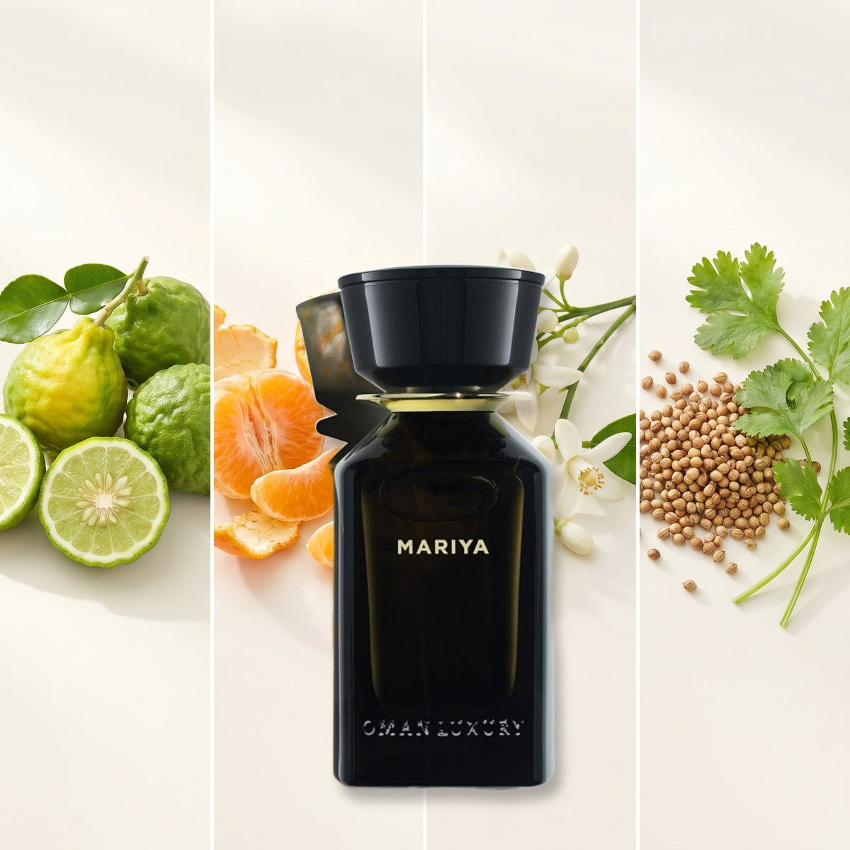 Omanluxury Mariya fragrance notes: Bergamot, Mandarin Orange, Orange Blossom, Coriander.