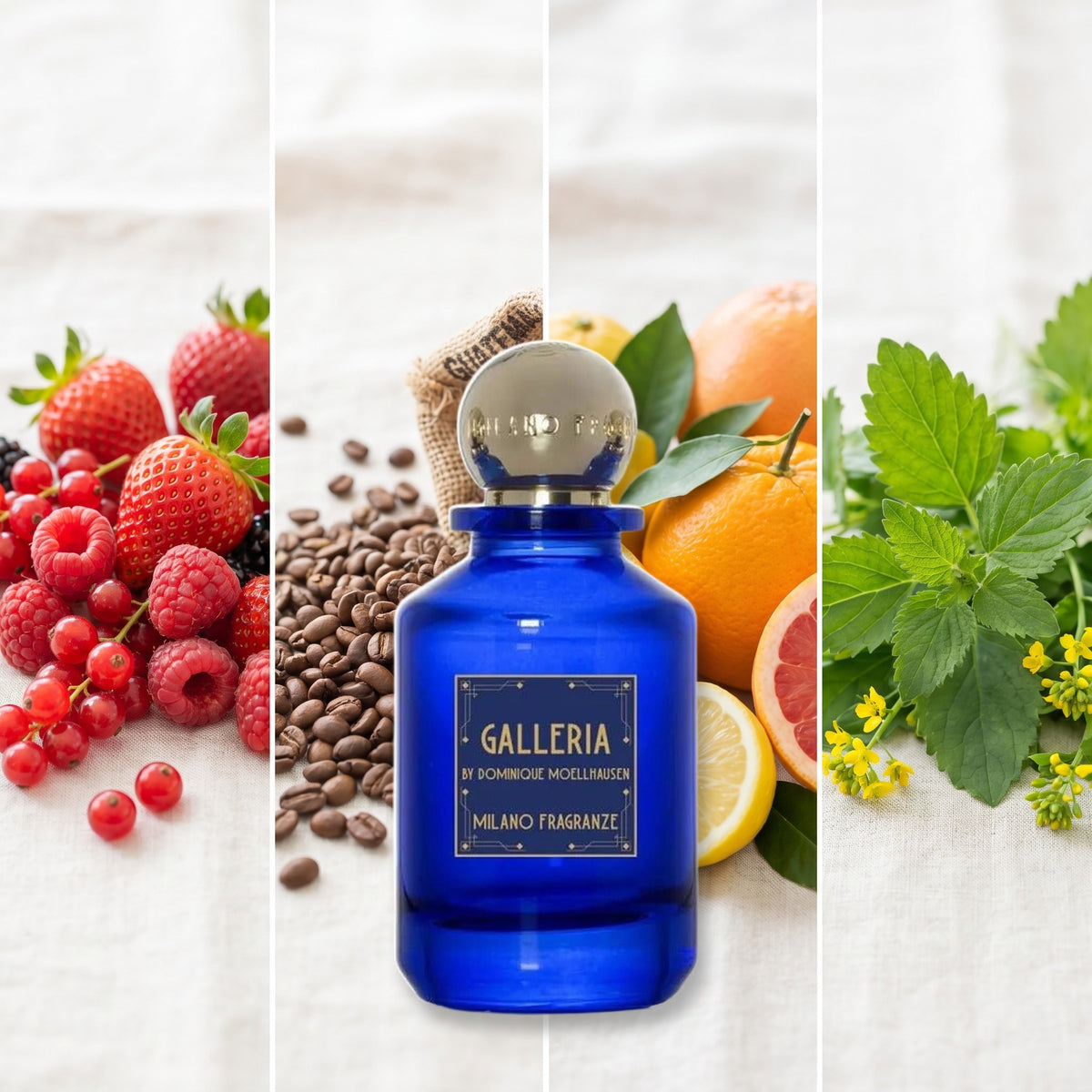 Milano Fragranze Galleria fragrance notes: Red Fruits, Coffee Beans Guatemala, Citrus notes, Davana