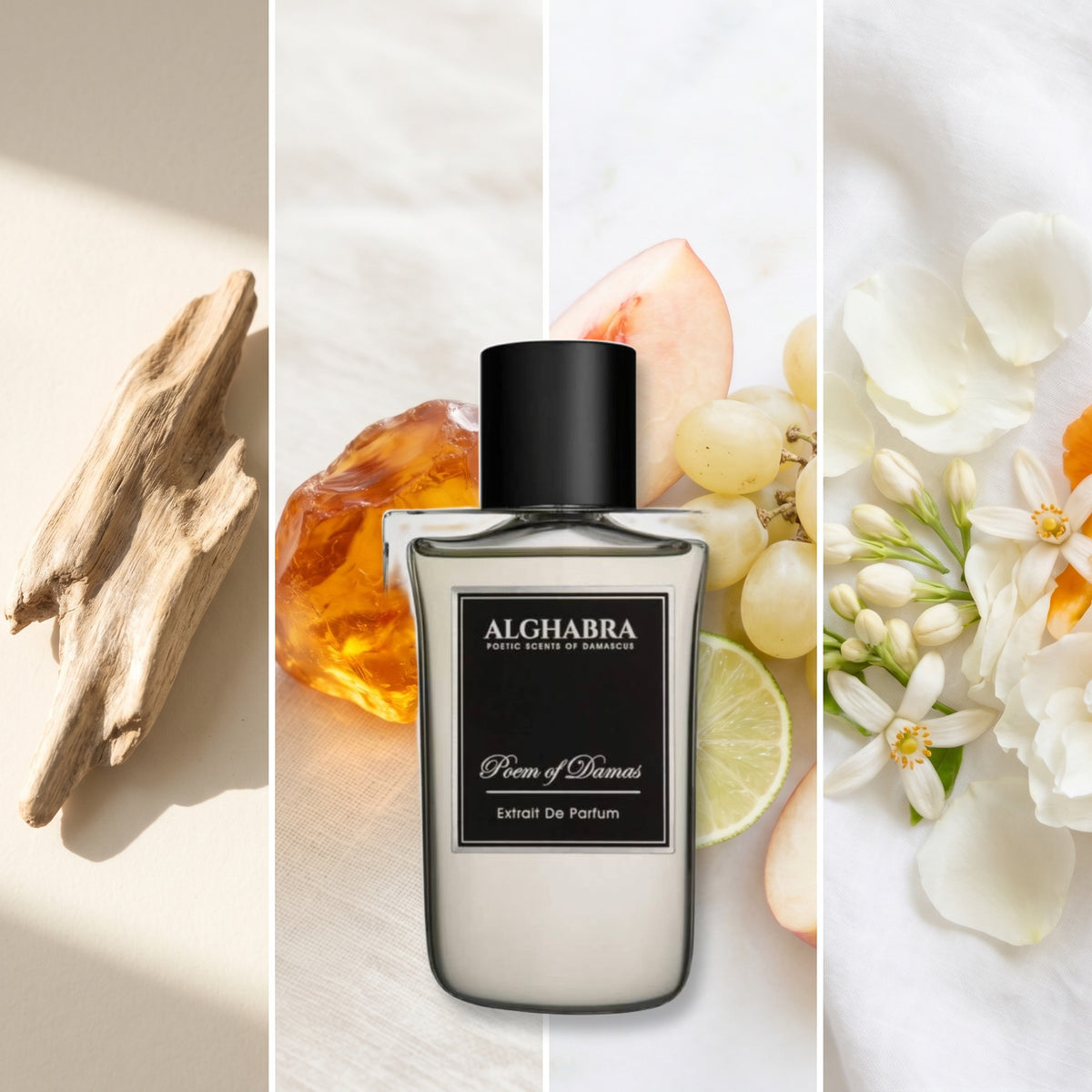 Alghabra Parfums Poem of Damas fragrance notes: Agarwood, Amber., Fruity, Floral Notes.