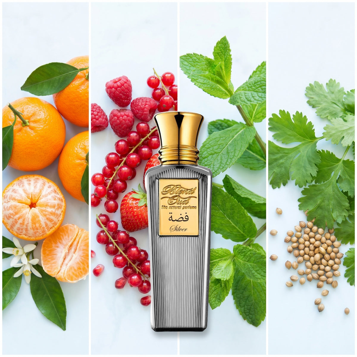 Blend Oud Silver fragrance notes: Tangerine, Red fruits, Gentle Mint, Coriander