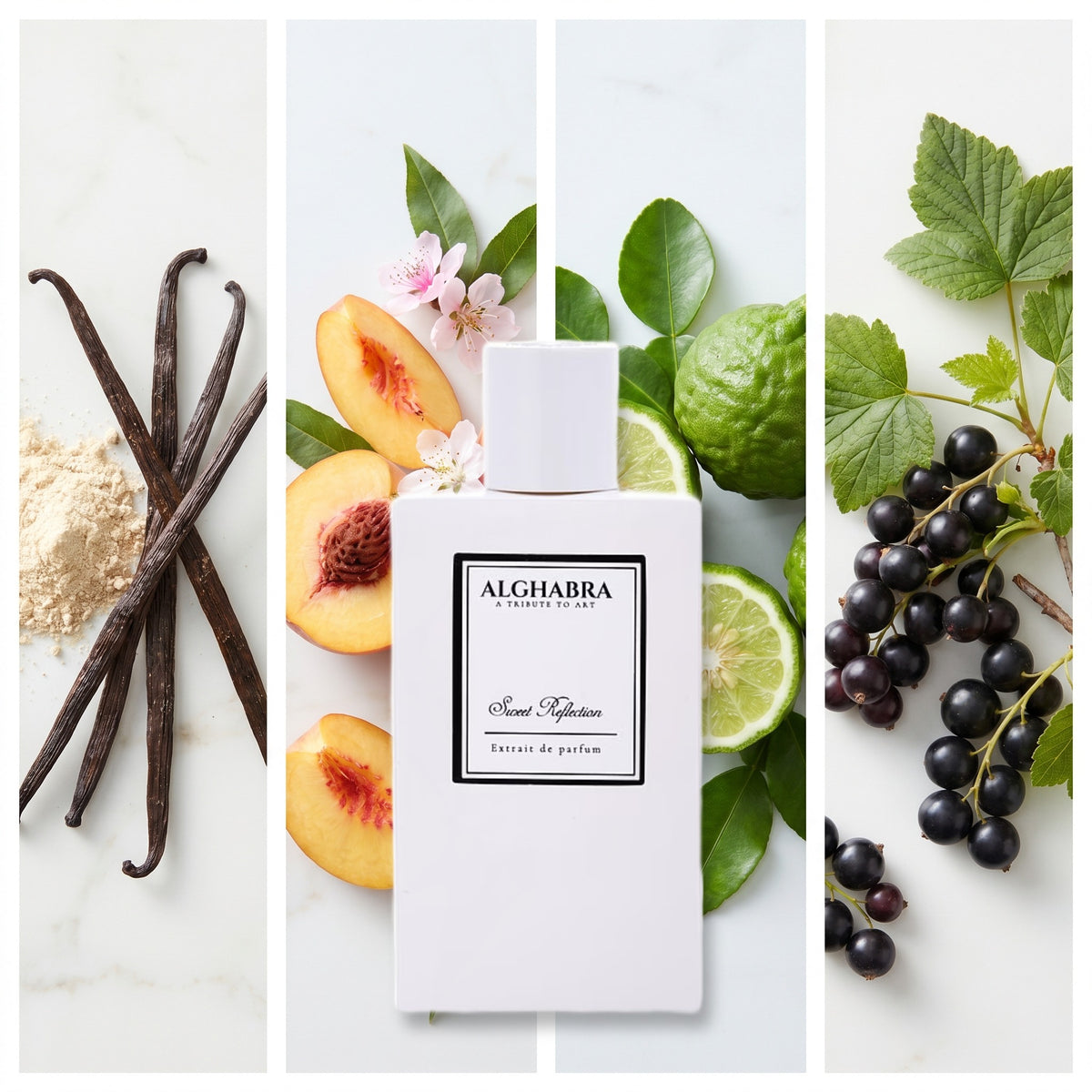 Alghabra Parfums Sweet Reflection fragrance notes: Vanilla Powdery, Peach, Bergamot, Cassis