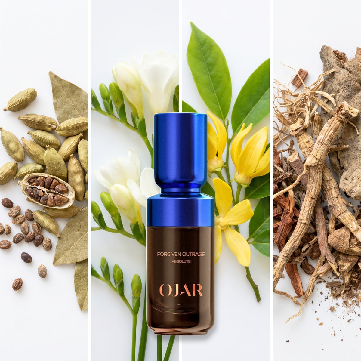 Ojar Forgiven Outrage fragrance notes: Cardamom, Freesia, Ylang Ylang, Cypriol