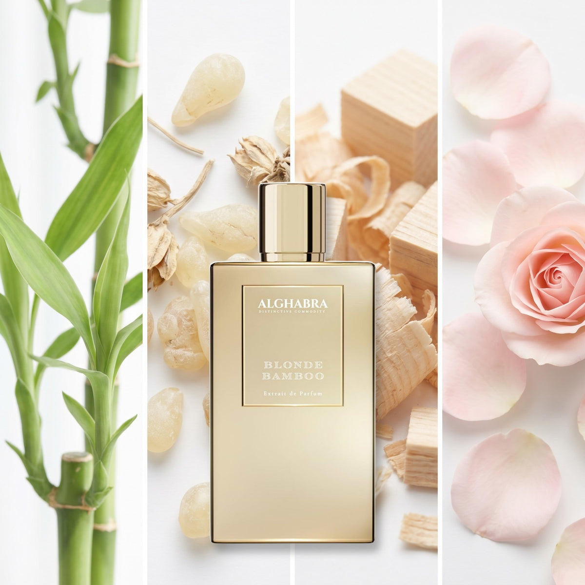 Alghabra Blonde Bamboo fragrance notes: Bamboo, Elemi, Hinoki Wood, Rose