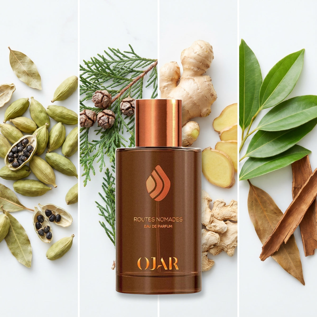 Ojar Routes Nomades fragrance notes: Cardamom, Cypress, Ginger, Cinnamon Leaf