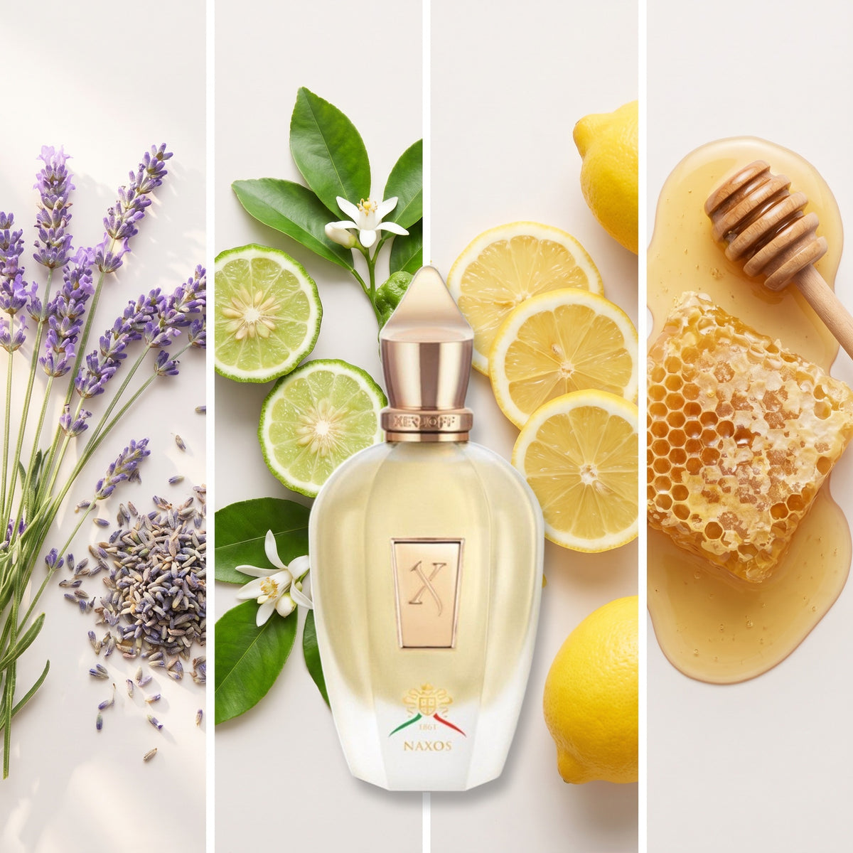 Xerjoff Naxos fragrance notes: Lavender, Bergamot, Lemon., Honey