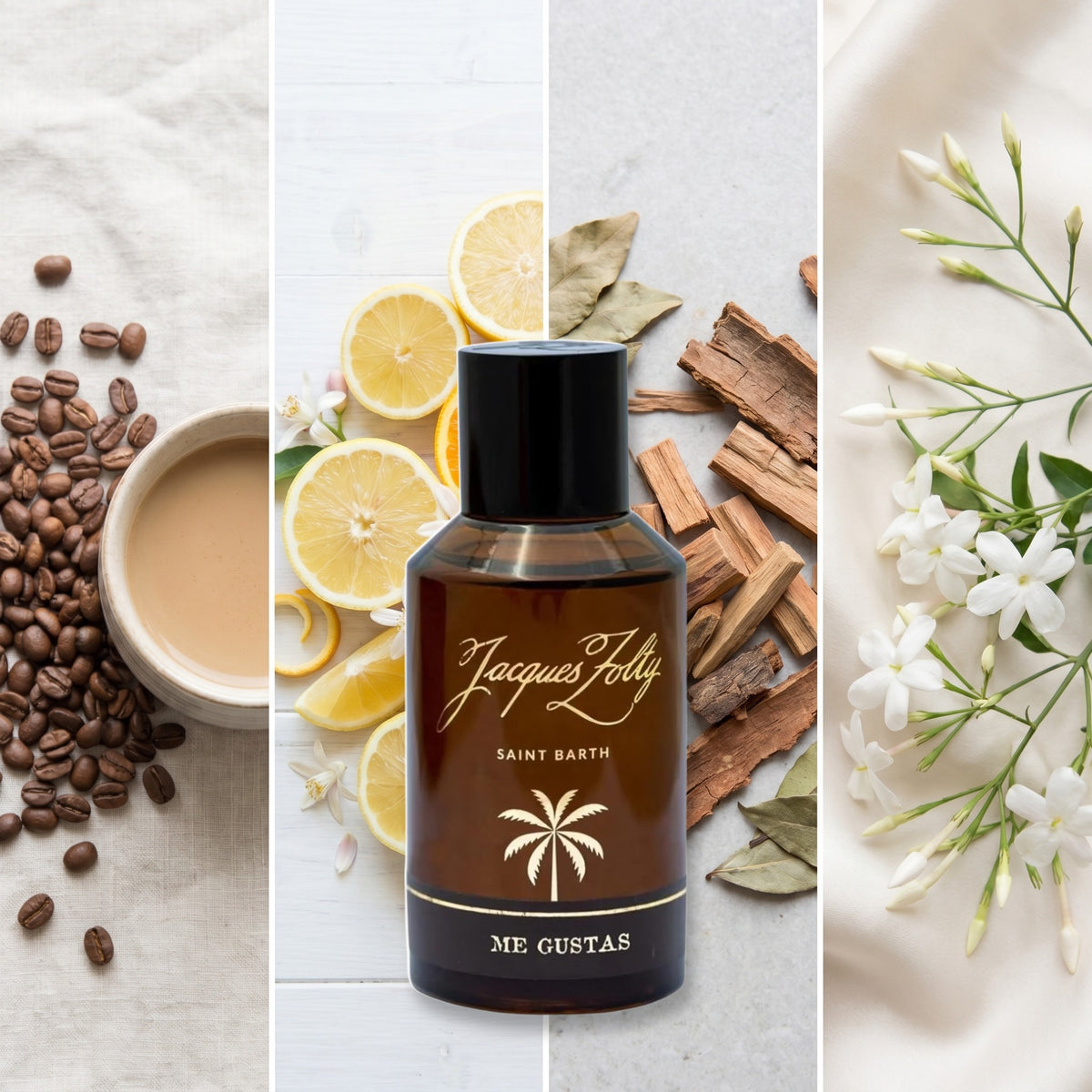 Jacques Zolty Me Gustas fragrance notes: COFFEE, CITRUS NOTES, AMYRIS, JASMINE