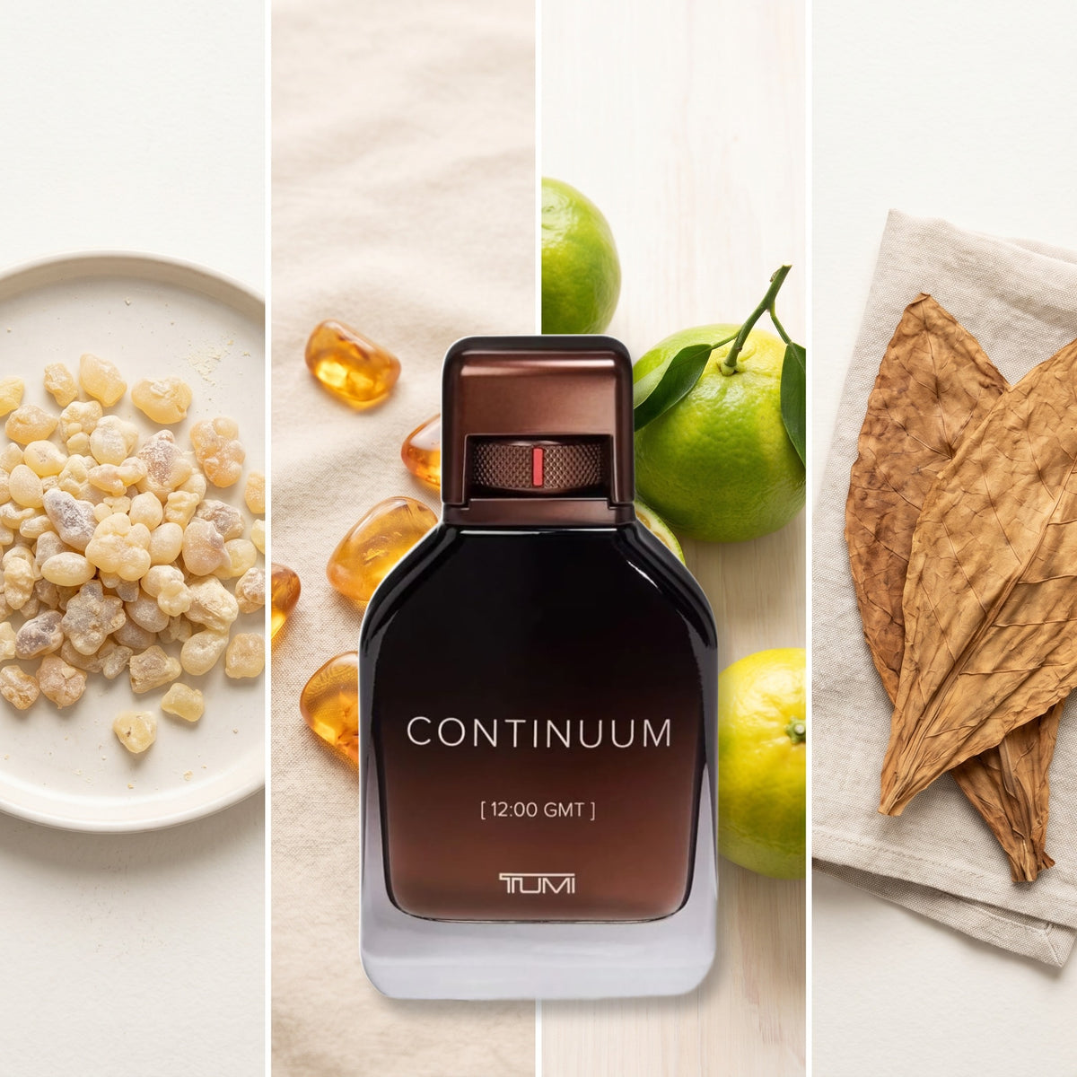 Tumi Continuum fragrance notes: Olibanum, Amber, Green Mandarin., Tobacco Leaf