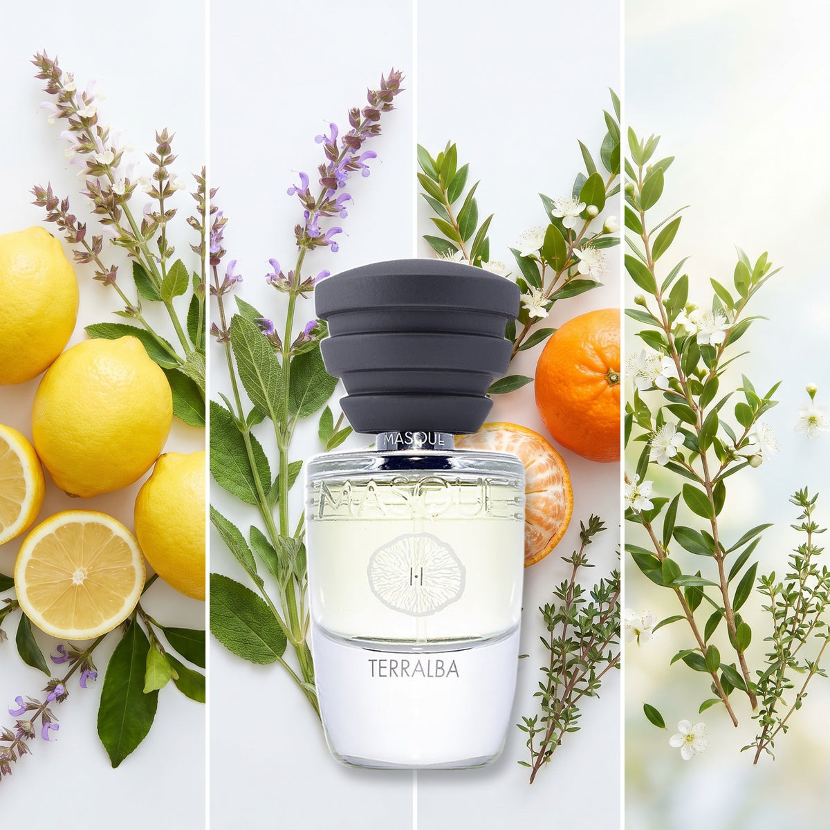 Masque Milano Terralba fragrance notes: Lemon, Clary Sage, Tangerine, Myrtle. Thyme