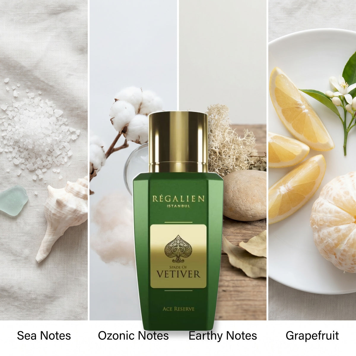 Regalien Spade of Vetiver fragrance notes: Sea Notes, Ozonic Notes, Earthy Notes, Grapefruit