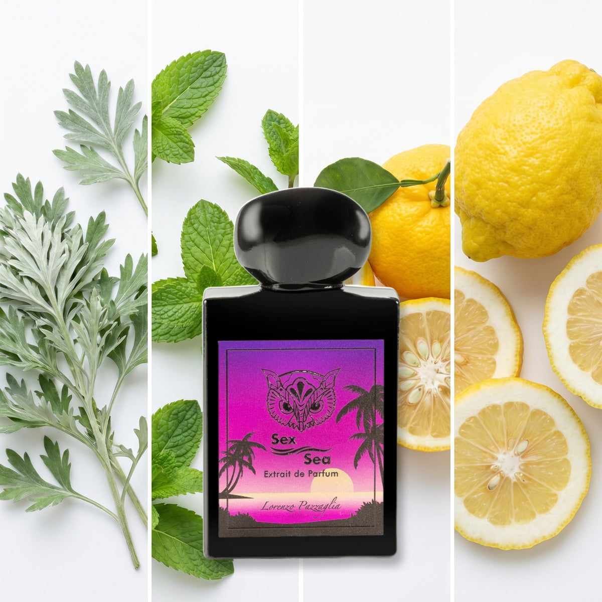 Lorenzo Pazzaglia Sex Sea fragrance notes: Wormwood, Mint, Yuzu, Citron