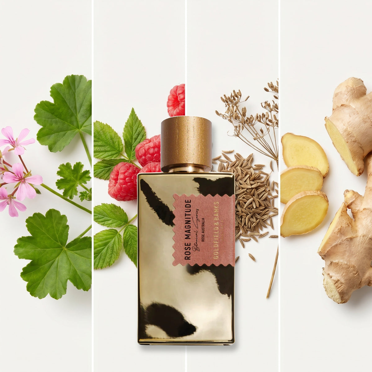 Goldfield & Banks Rose Magnitude fragrance notes: Geranium, Raspberry, Cumin, Ginger
