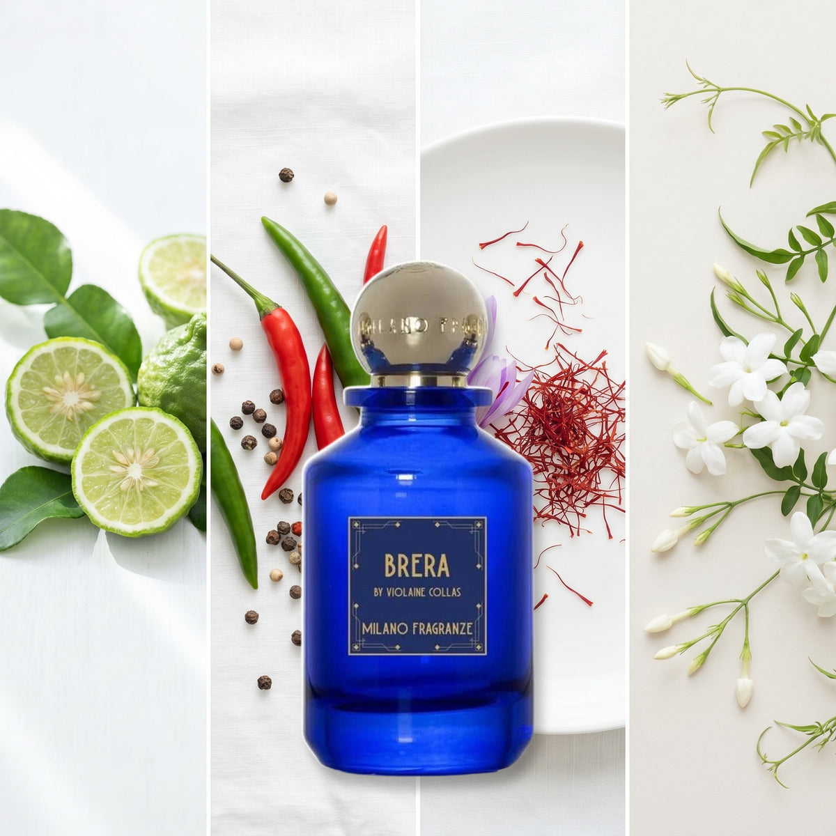Milano Fragranze Brera fragrance notes: Bergamot, Chilli Pepper, Saffron., Jasmine