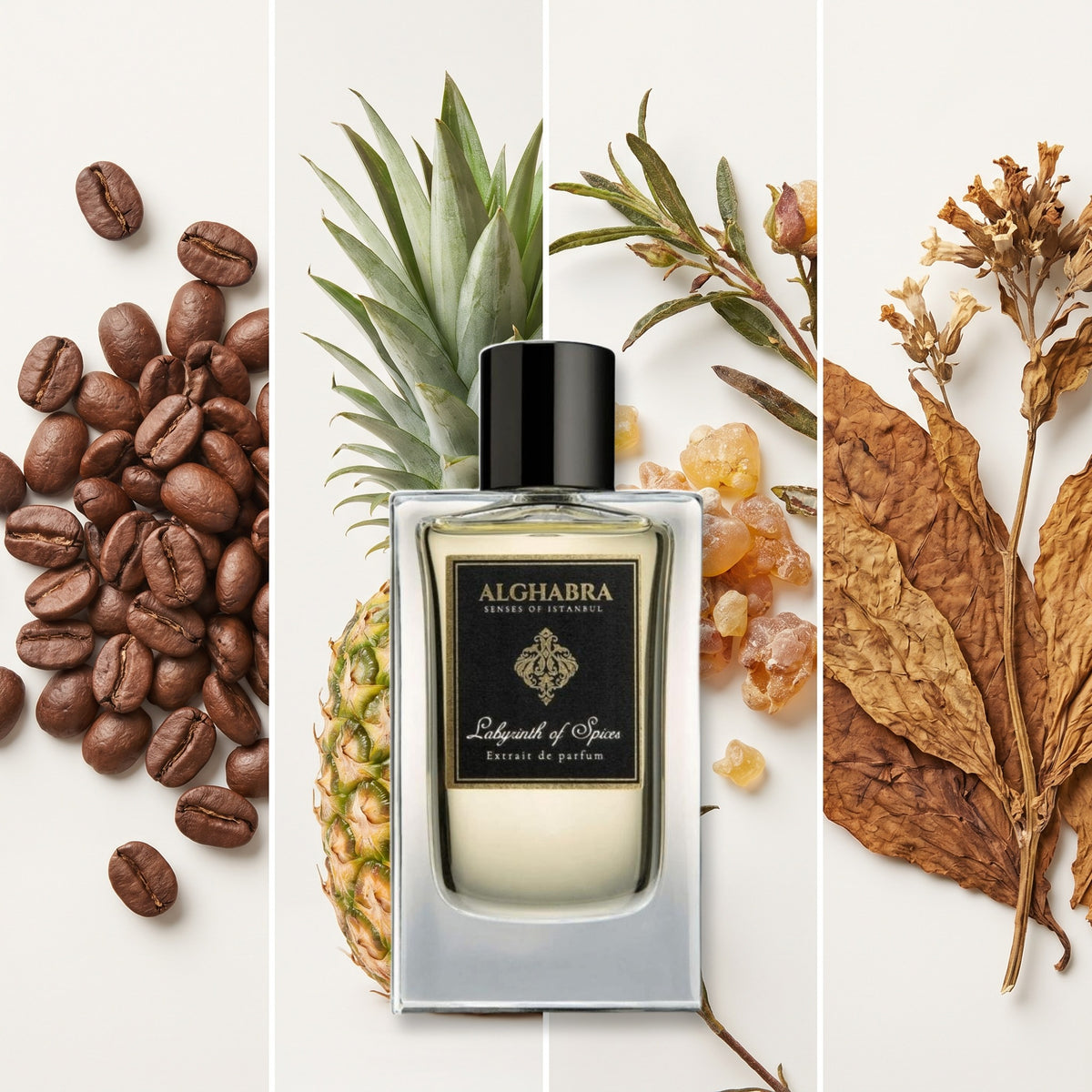 Alghabra Parfums Labyrinth of Spices fragrance notes: Turkish Coffee Beans, Pineapple, Labdanum, Tobacco