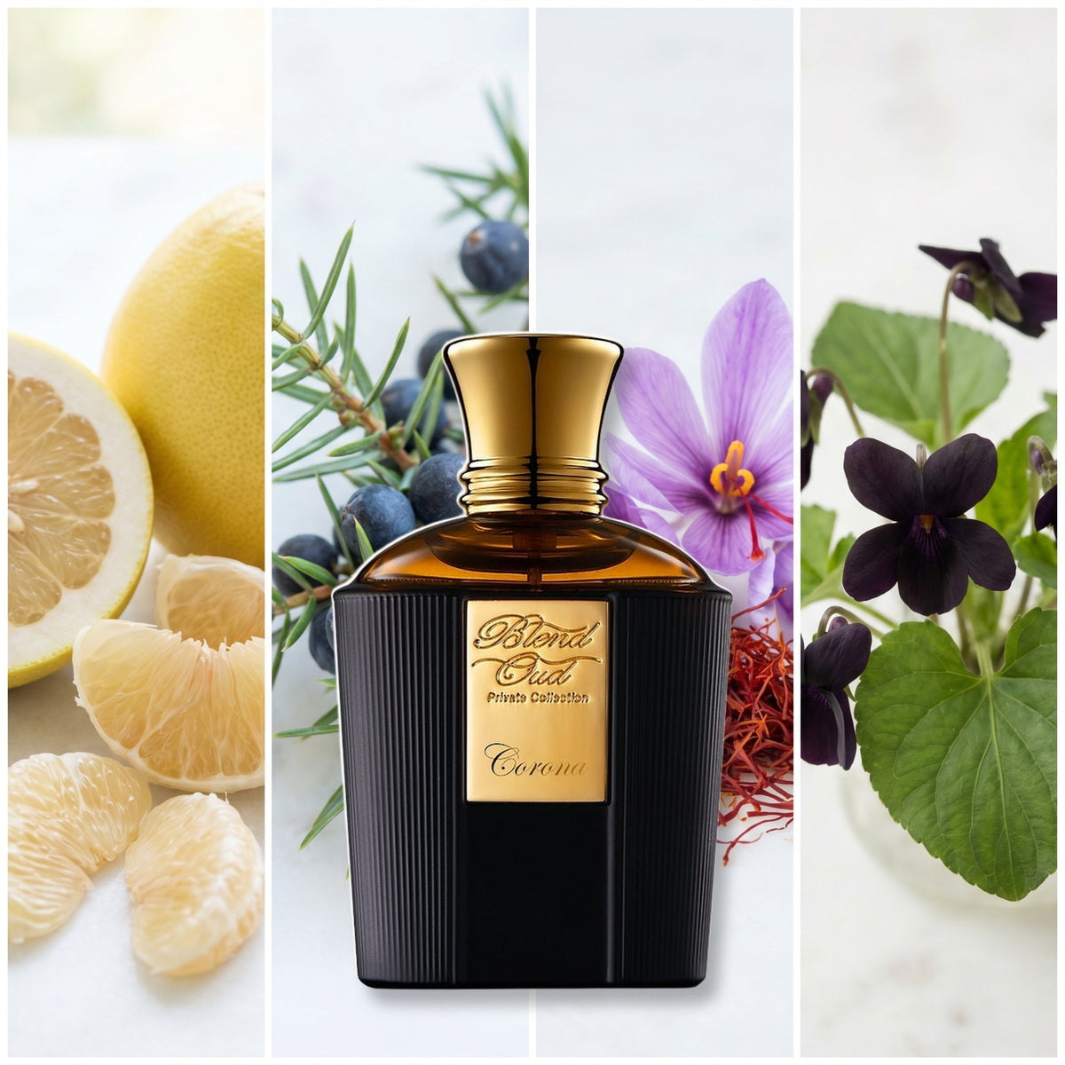 Blend Oud Corona fragrance notes: Chinese Grapefruit, Juniper Berries, Saffron., Black Violet
