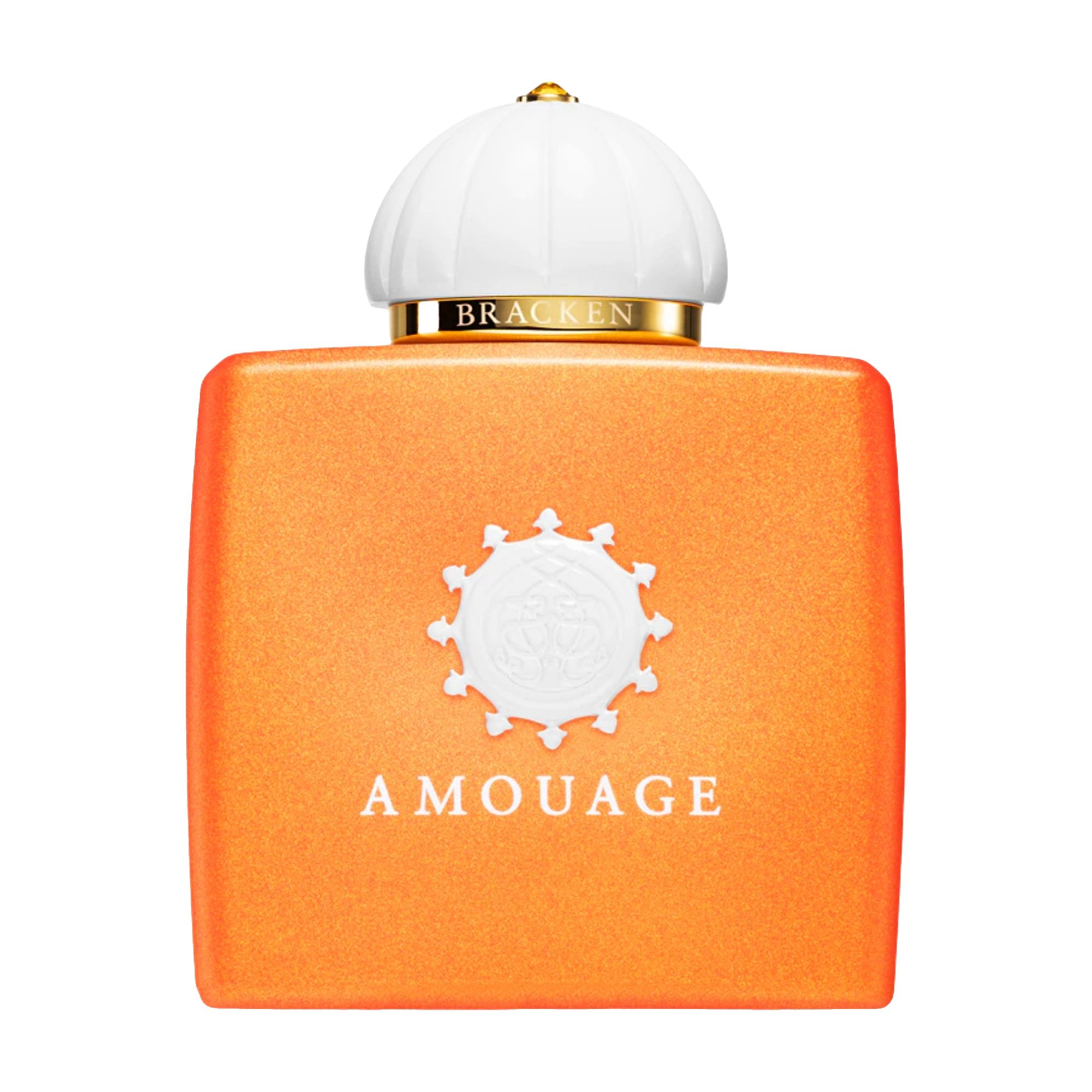 amouage bracken
