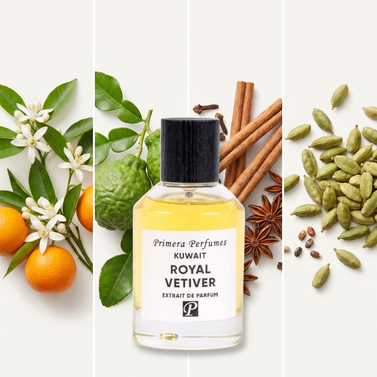 Primera Perfumes Kuwait Royal Vetiver fragrance notes: Neroli, Bergamot, Spices, Cardamom