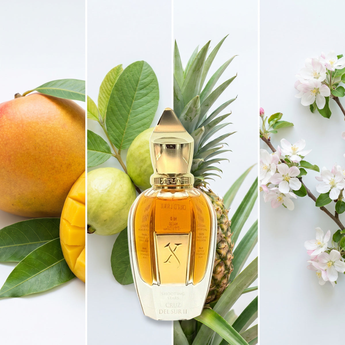 Xerjoff Cruz Del Sur II fragrance notes: Mango, Guava, Pineapple, Apple Blossom