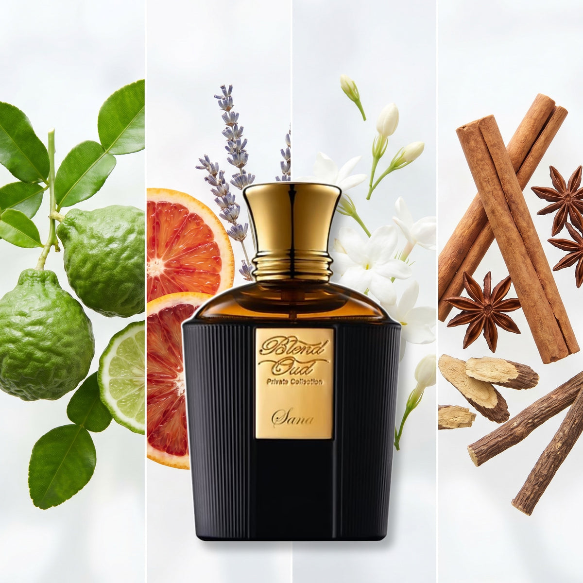 Blend Oud Sana fragrance notes: Bergamot, Blood Orange And Lavender, Jasmine, Cinnamon And Licorice