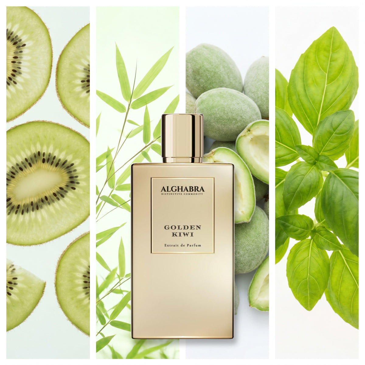 Alghabra Golden Kiwi fragrance notes: Kiwi, Bamboo Leaf, Green Almond, Basil