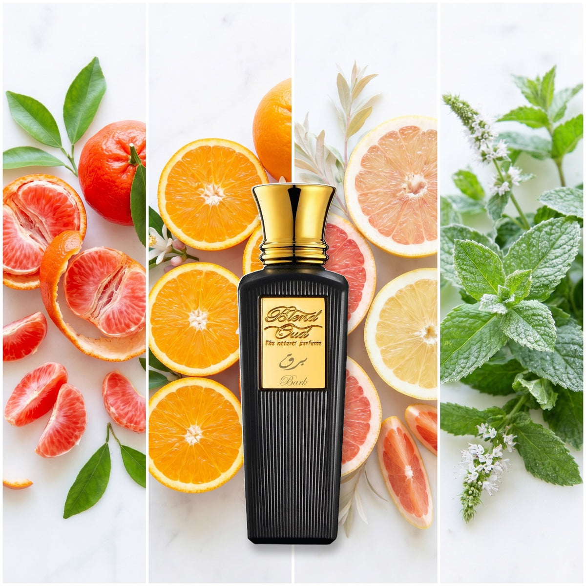 Blend Oud Bark fragrance notes: Red Mandarin, Orange, Grapefruit, Peppermint