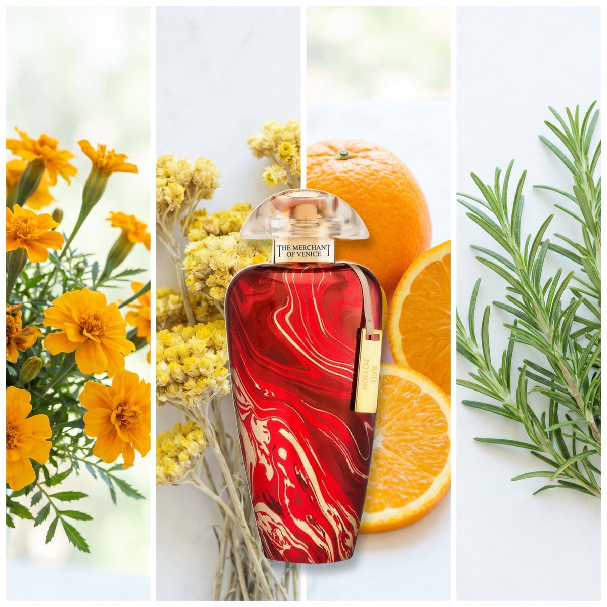 The Merchant of Venice Red Potion fragrance notes: Tagetes, Immortelle, Orange., Rosemary