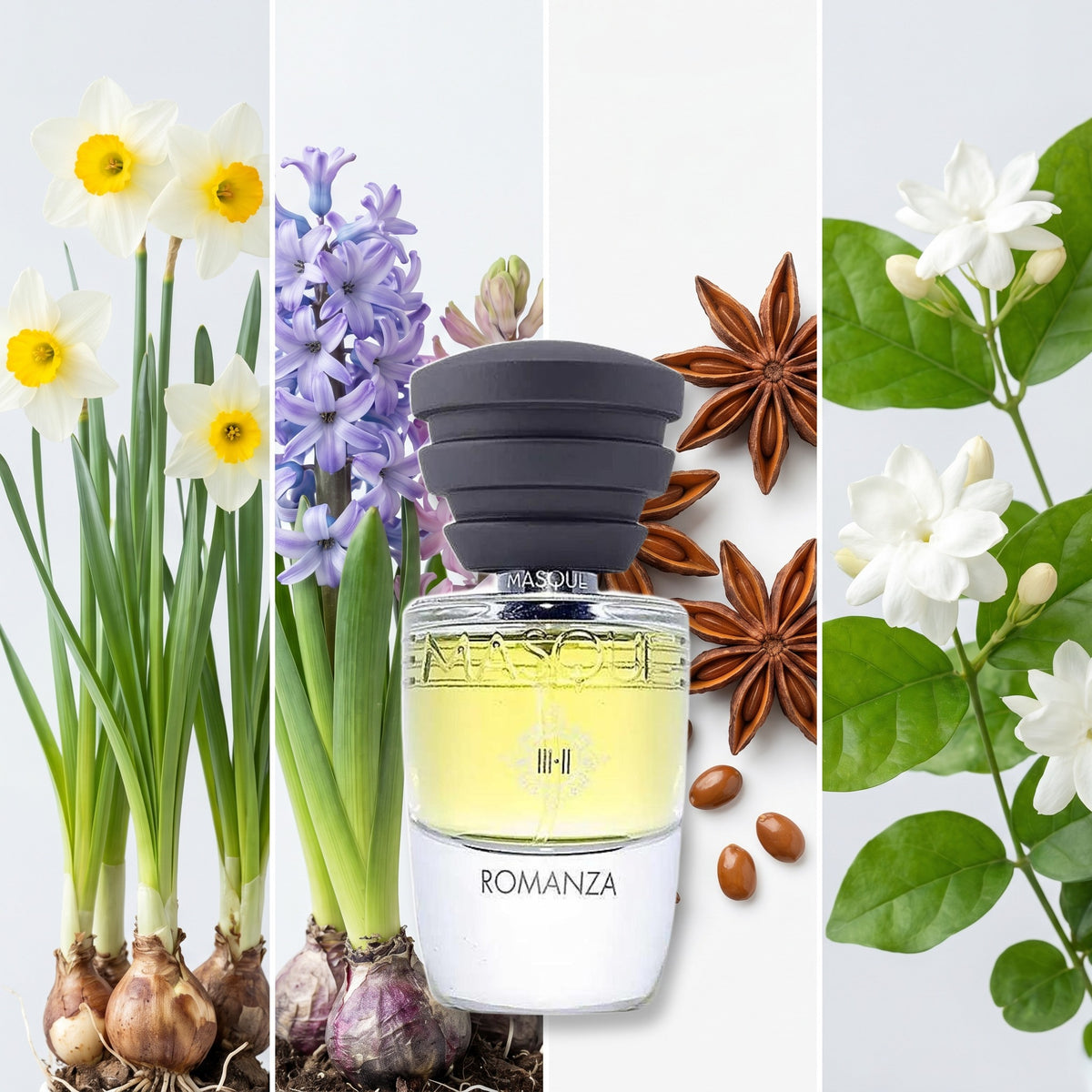 Masque Milano Romanza fragrance notes: Narcissus, Hyacinth, Anise., Jasmine Sambac