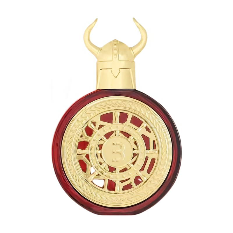Bharara Viking Kashmir