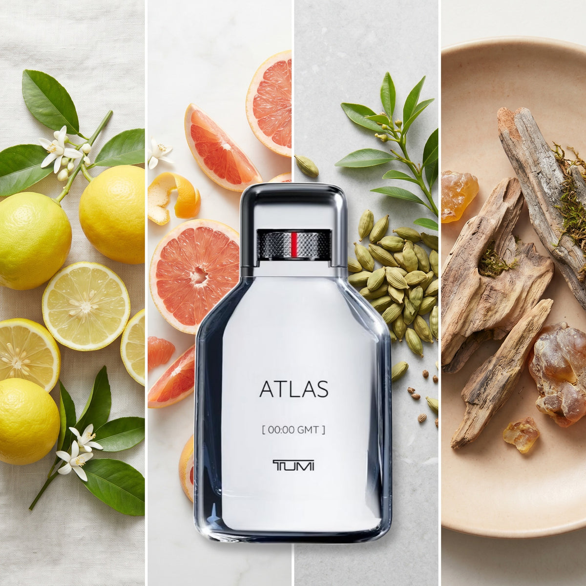 Tumi Atlas fragrance notes: Sicilian Bergamot, Florida Grapefruit, Cardamom, Amberwood.