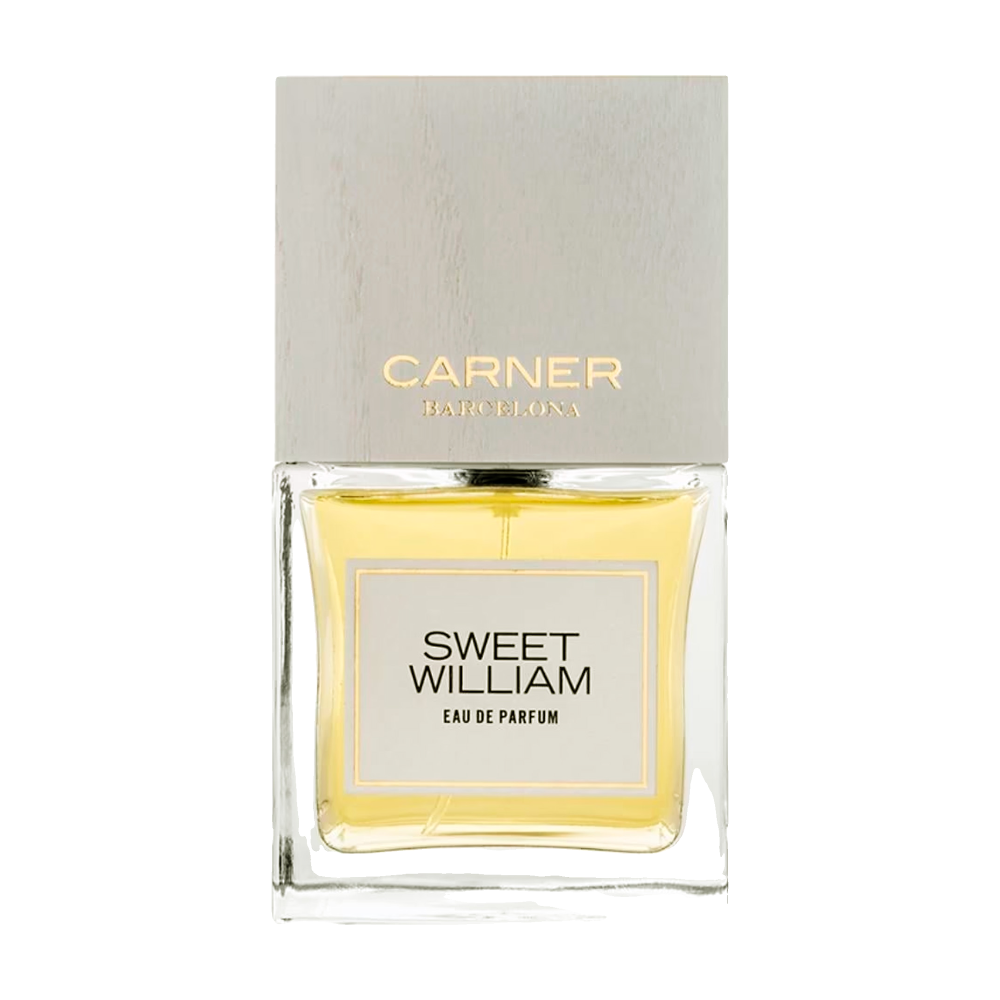 carner barcelona sweet william