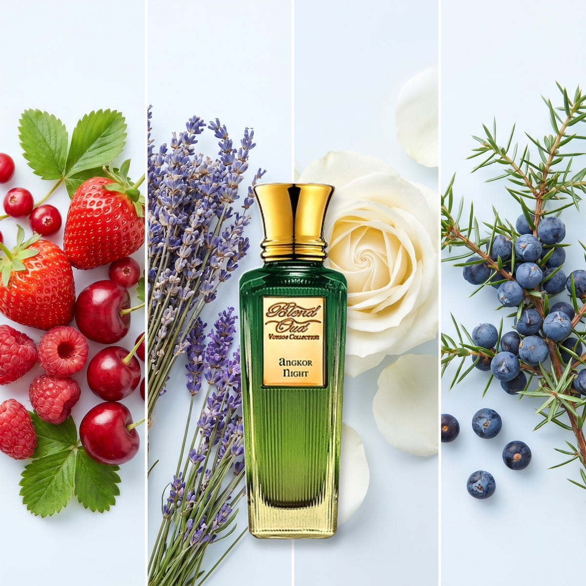 Blend Oud Angkor Night fragrance notes: Red Fruits, Lavender, White Rose, Juniper Berries