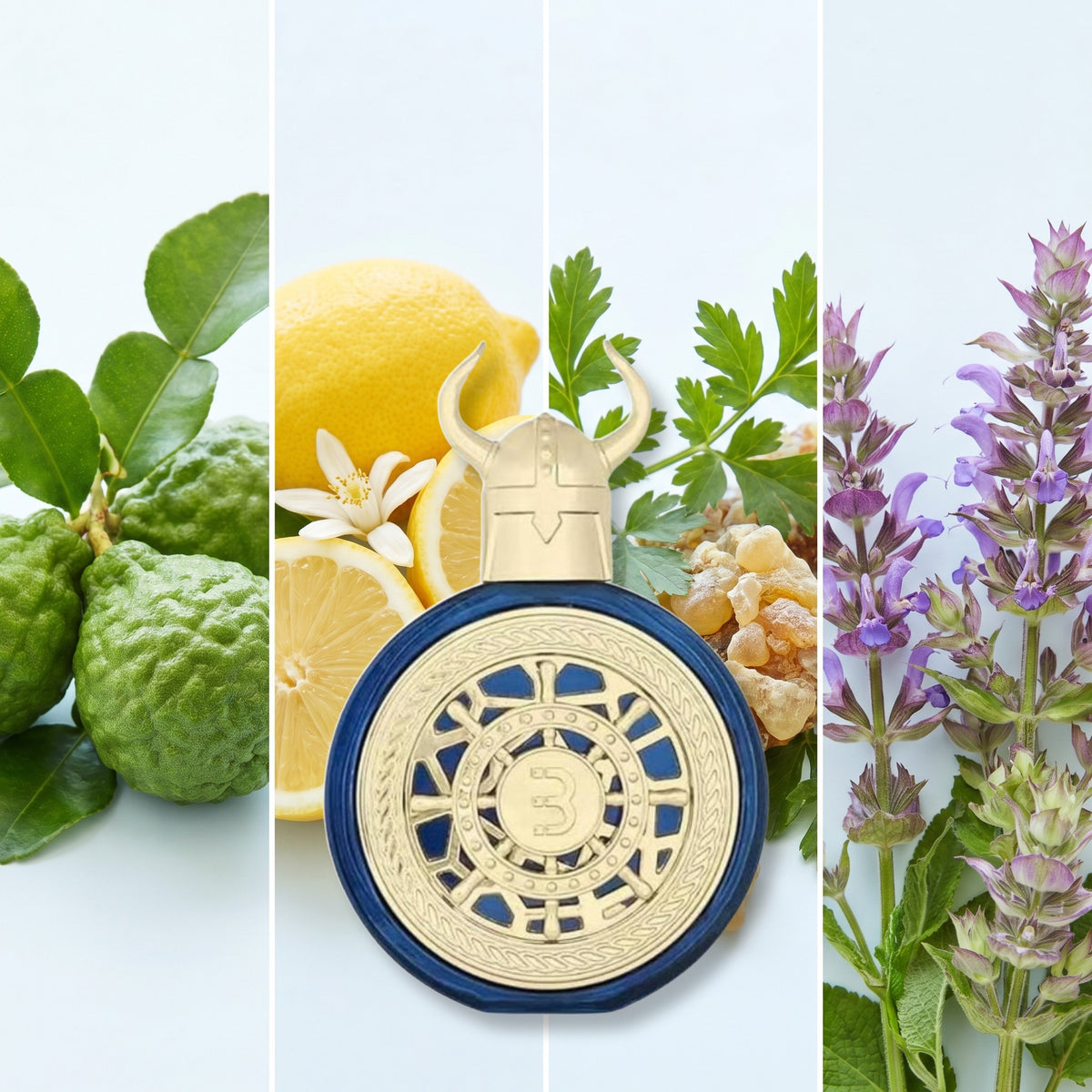 Bharara Viking Beirut fragrance notes: Bergamot, Lemon, Galbanum., Clary Sage