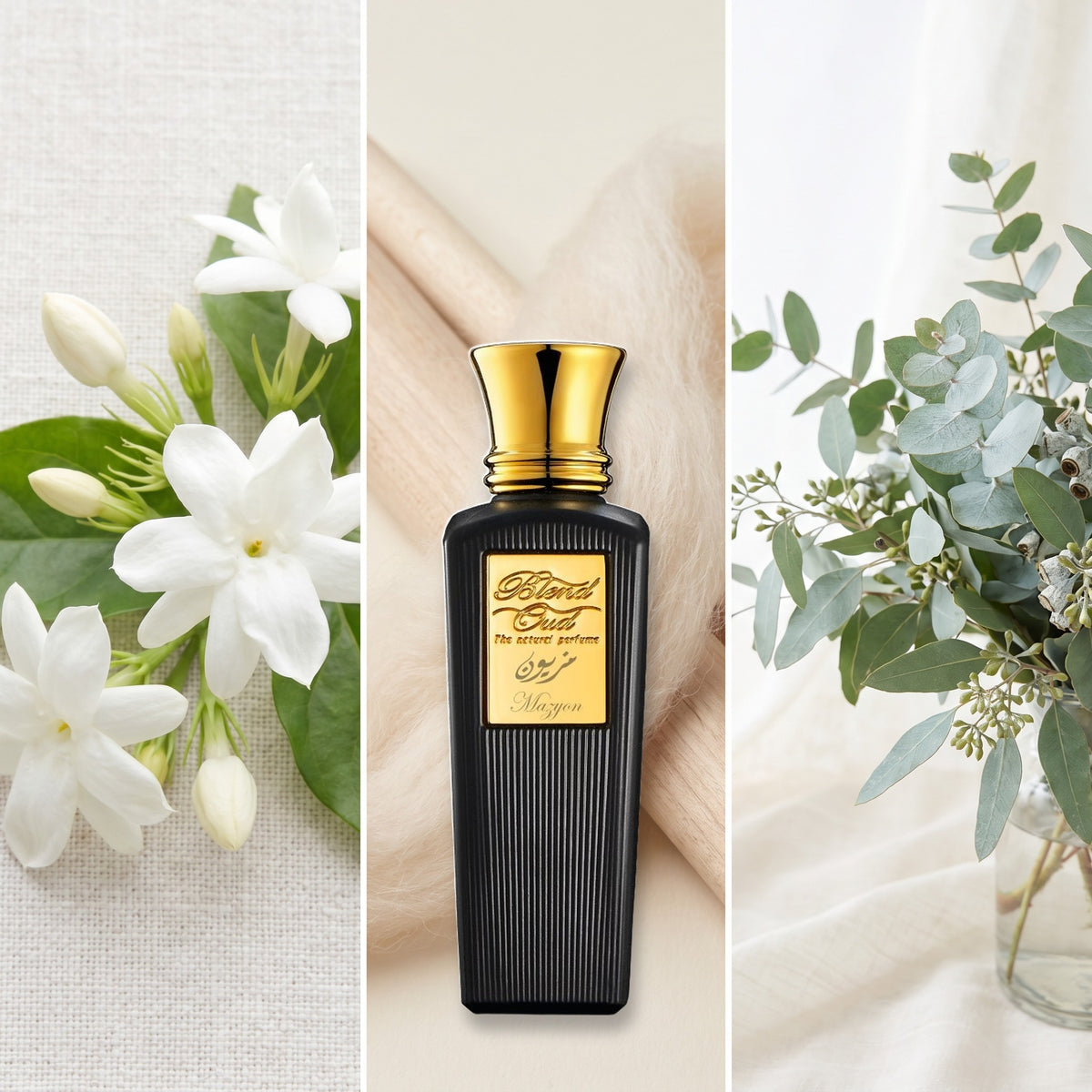 Blend Oud Mazyon fragrance notes: Jasmine Sambac, Cashmeran, Eucalyptus