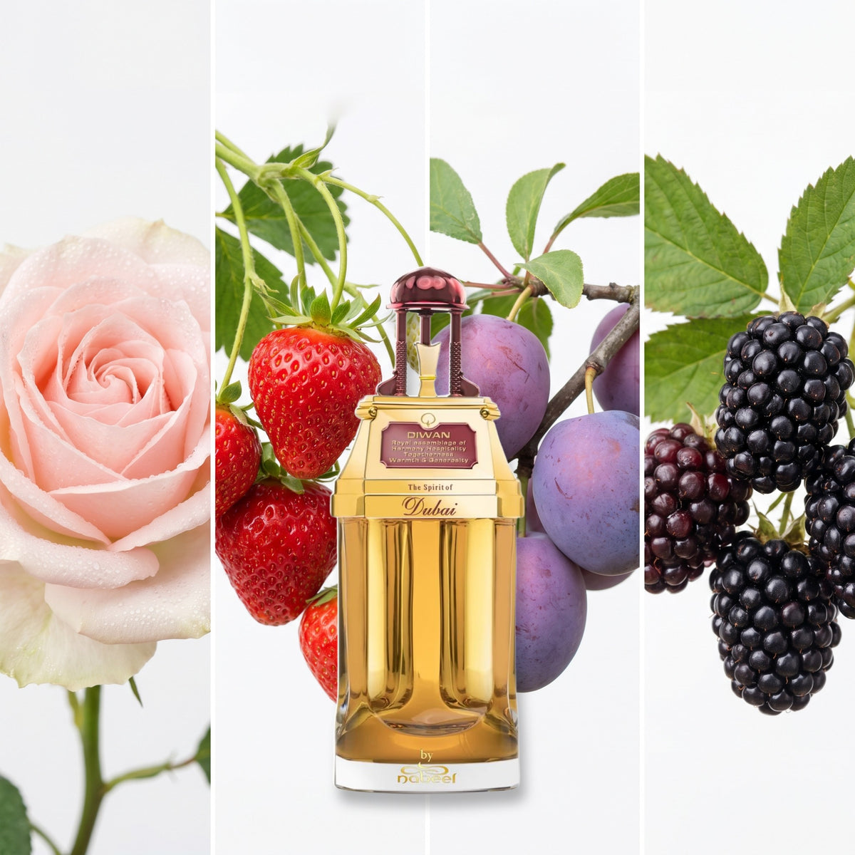 The Spirit of Dubai Diwan fragrance notes: Rose, Strawberry, Plum, Dewberry