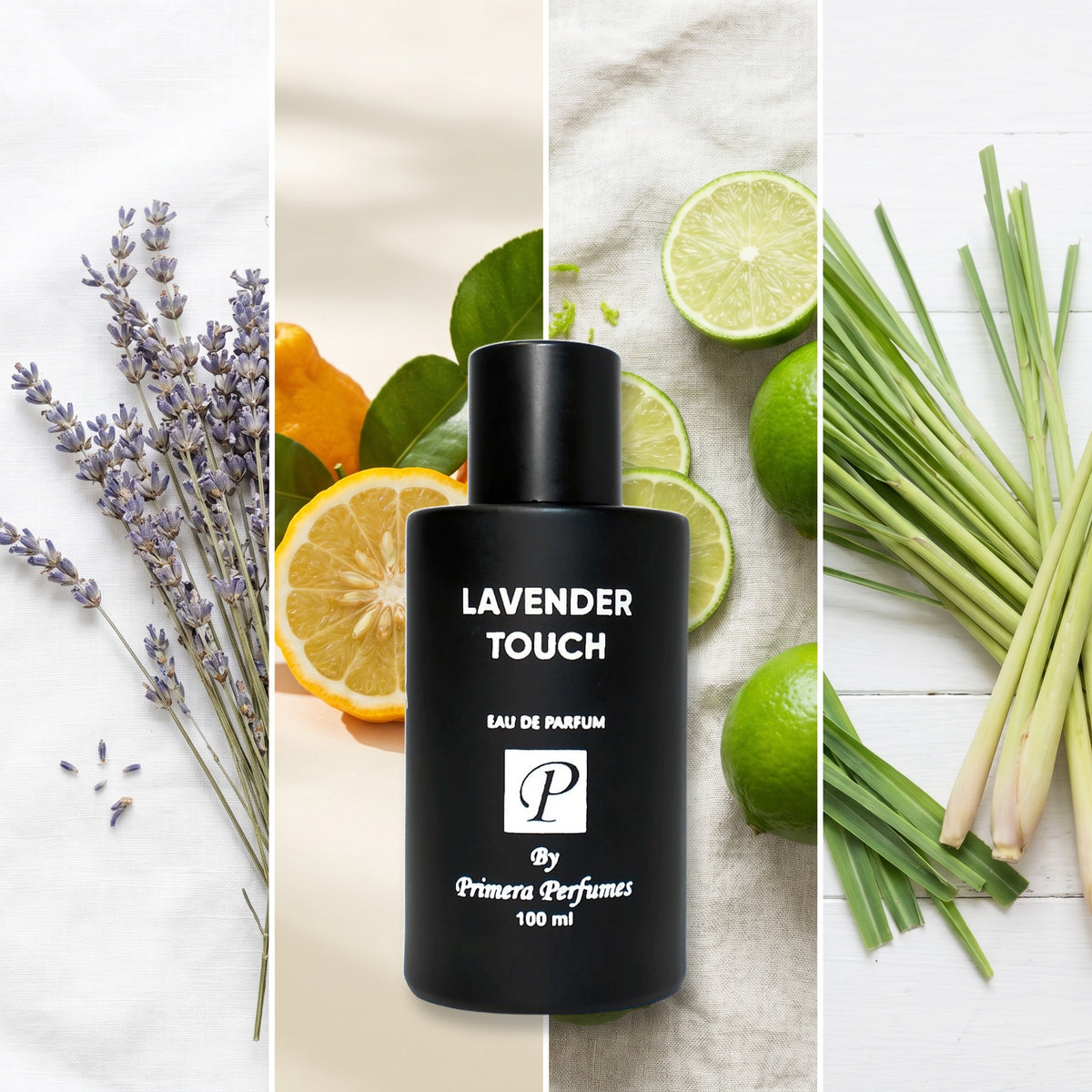 Primera Perfumes Kuwait Lavender Touch Intense fragrance notes: Lavender, bergamot, Lime, lemon Grass