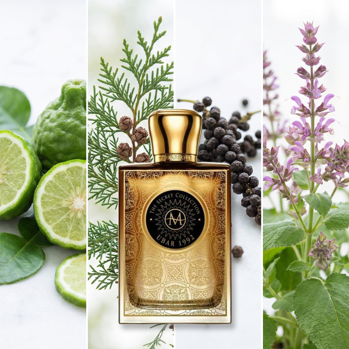 Moresque Parfums Ubar 1992 fragrance notes: Bergamot, Cypress, Black Pepper, Clary Sage