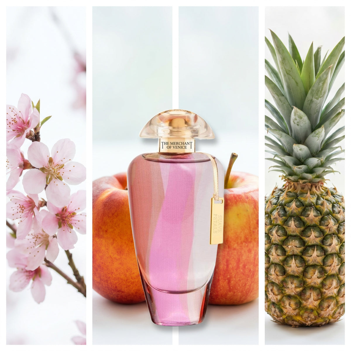 The Merchant of Venice Suave Petals fragrance notes: Nectarine blossom, Nectarine, Apple, Pineapple