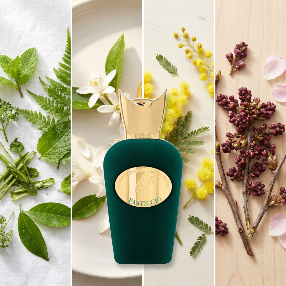 Sospiro Pasticcio fragrance notes: Green Notes, Orange Blossom, Mimosa, Currant Buds