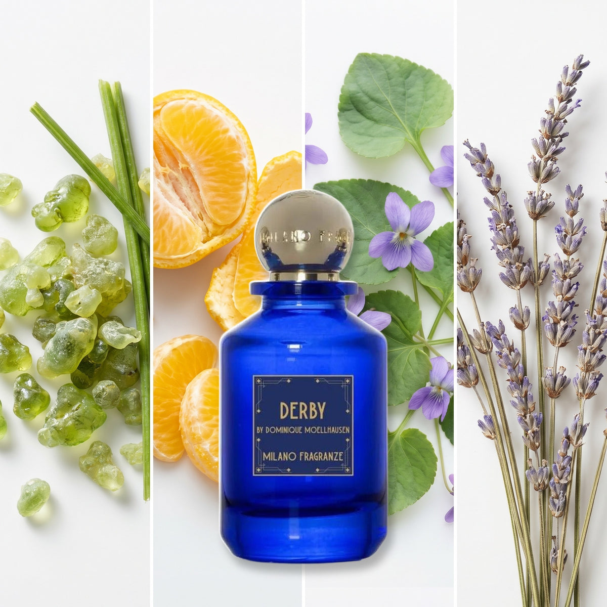 Milano Fragranze Derby fragrance notes: Galbanum, Yellow Mandarin, Violet Leaves, Lavender.