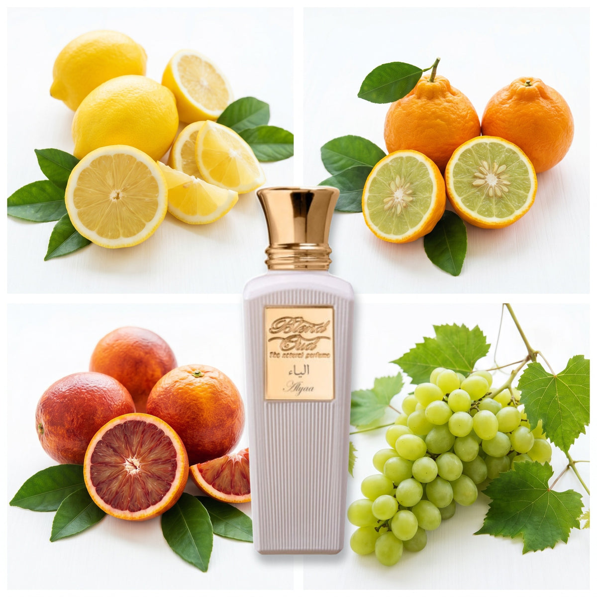 Blend Oud Alyaa fragrance notes: Lemon, Bergamot, Blood Orange, Grapes