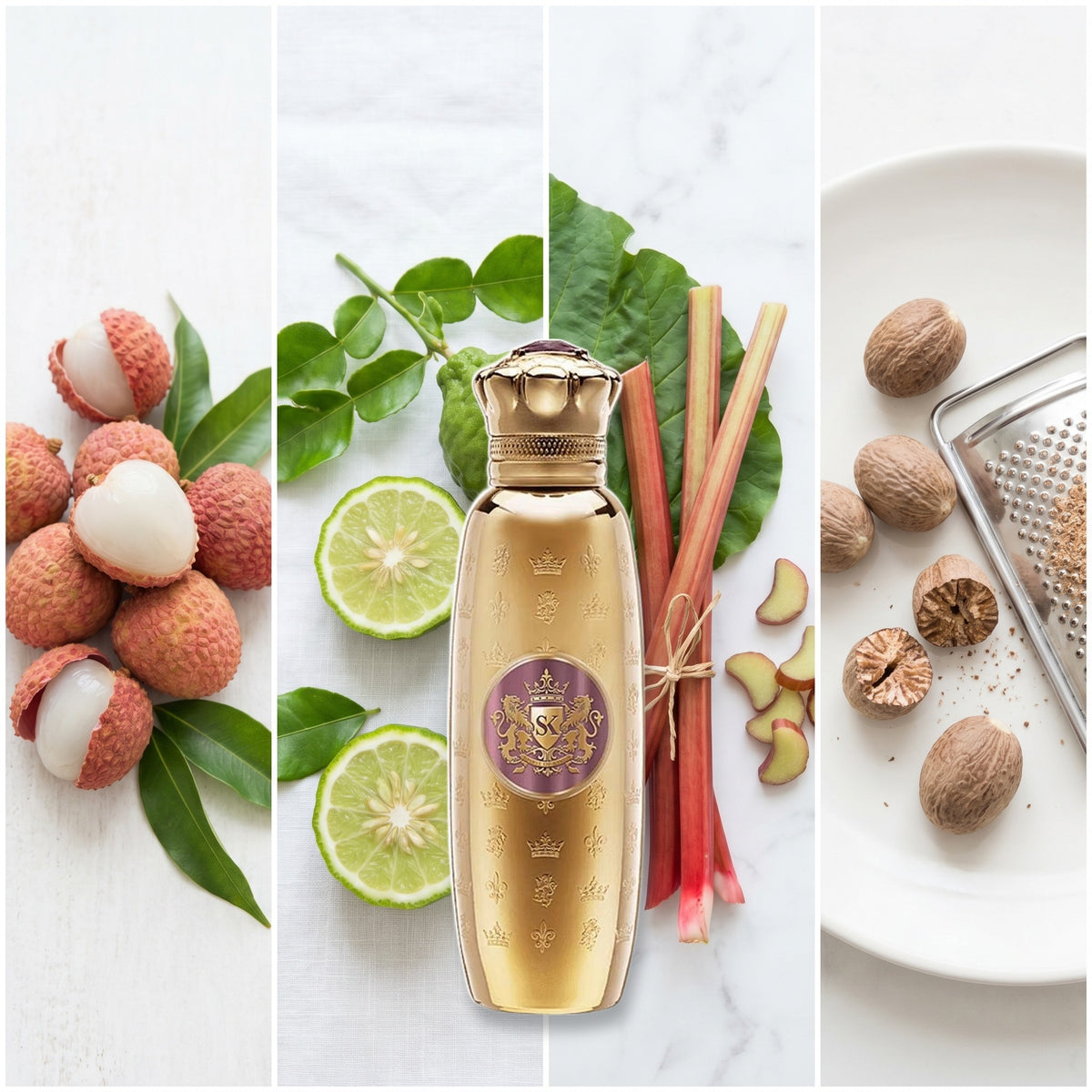 Spirit Of Kings Aludra fragrance notes: Litchi, Bergamot, Rhubarb, Nutmeg