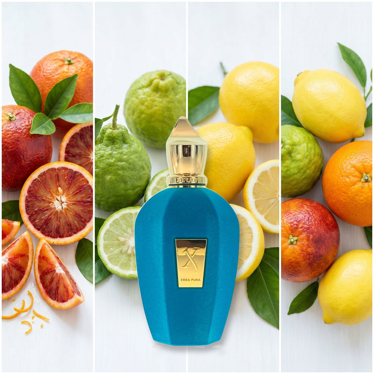 Xerjoff Erba Pura fragrance notes: Sicilian Orange, Calabrian bergamot, Sicilian Lemon, Fruits