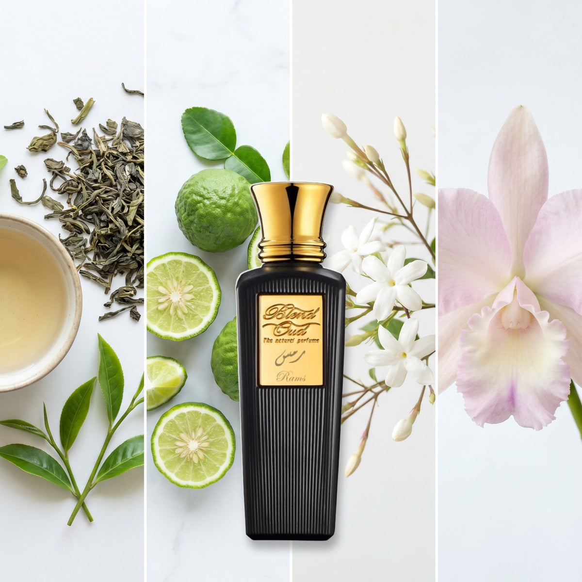Blend Oud Rams fragrance notes: Tea, Bergamot, Jasmine Sambac, Cattleya orchid