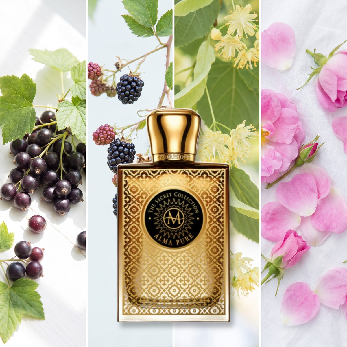 Moresque Parfums Alma Pure fragrance notes: Cassis, Blackberry, Linden, May Rose
