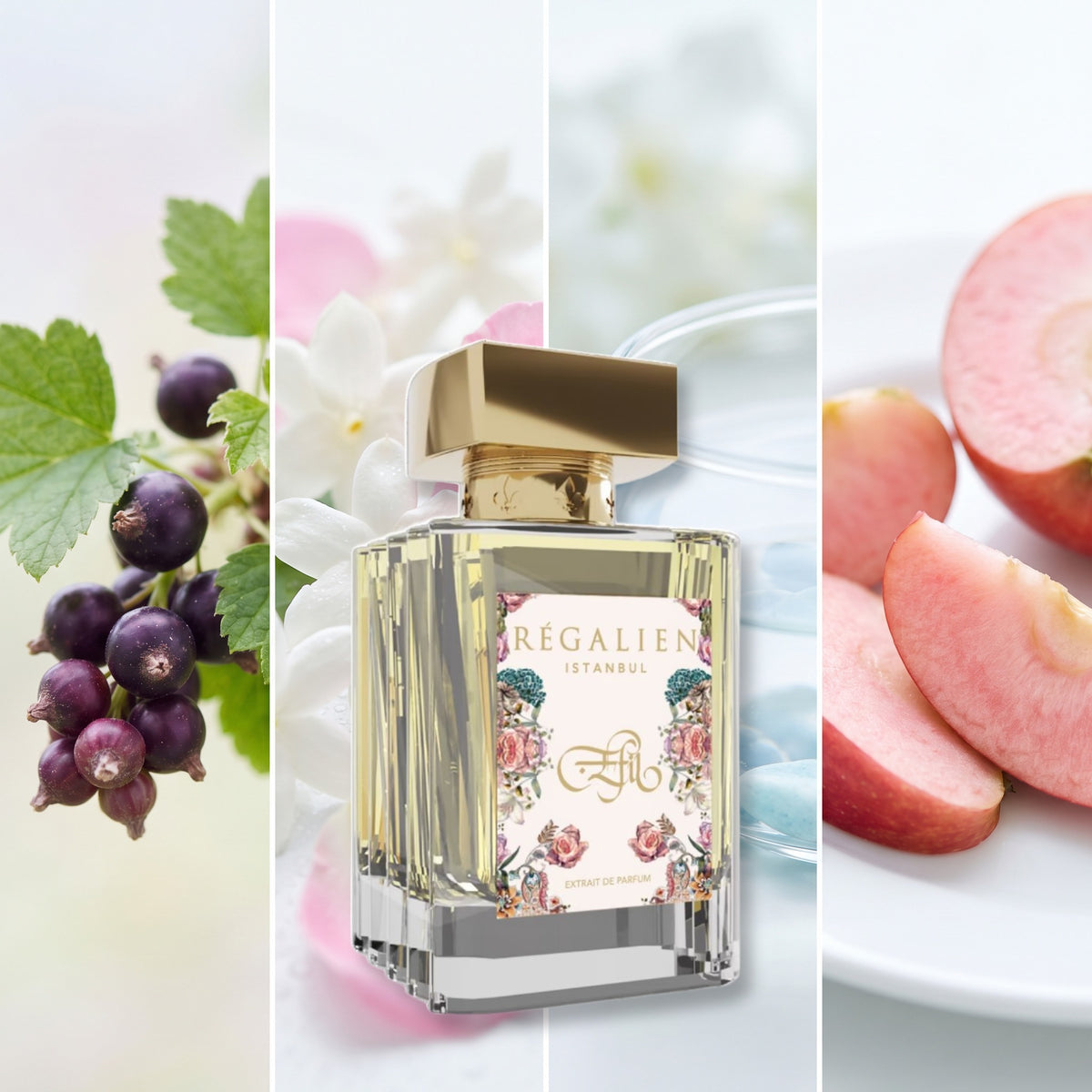 Regalien Efil fragrance notes: Blackcurrant Bud, Floral Notes, Ozonic Notes, Pink Apple